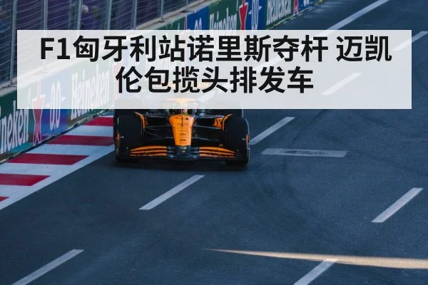 F1匈牙利站诺里斯夺杆 迈凯伦包揽头排发车
